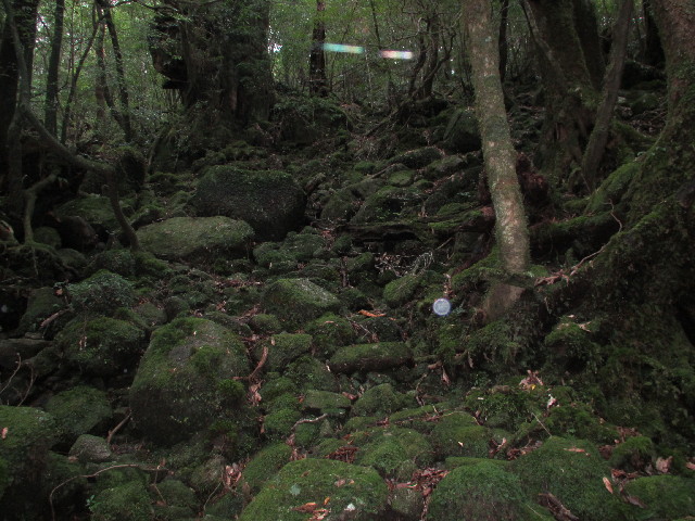 ファイル 2820-1.jpg