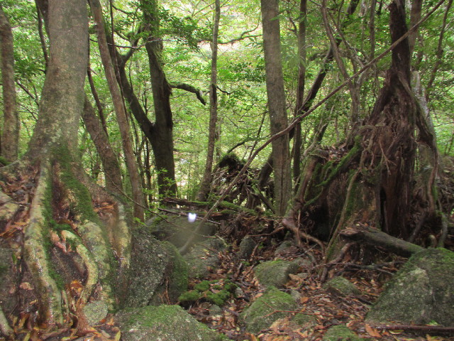 ファイル 2820-4.jpg