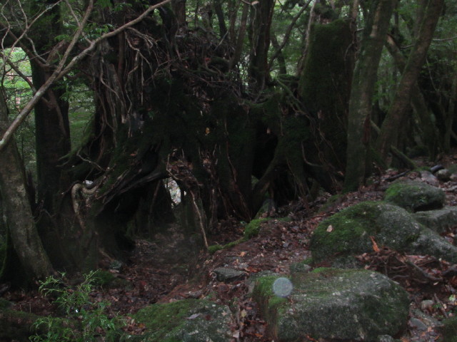 ファイル 2820-5.jpg