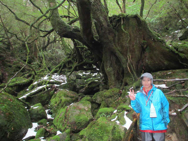 ファイル 2821-5.jpg