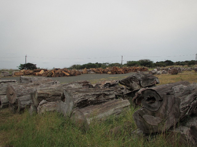 ファイル 2827-1.jpg