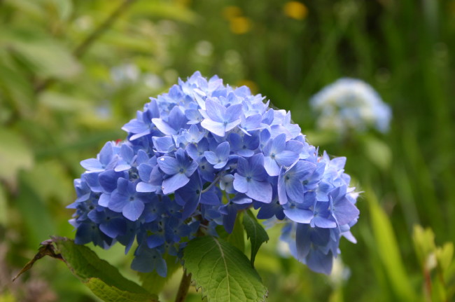 ファイル 283-1.jpg