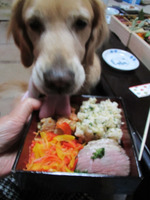 ファイル 2831-2.jpg