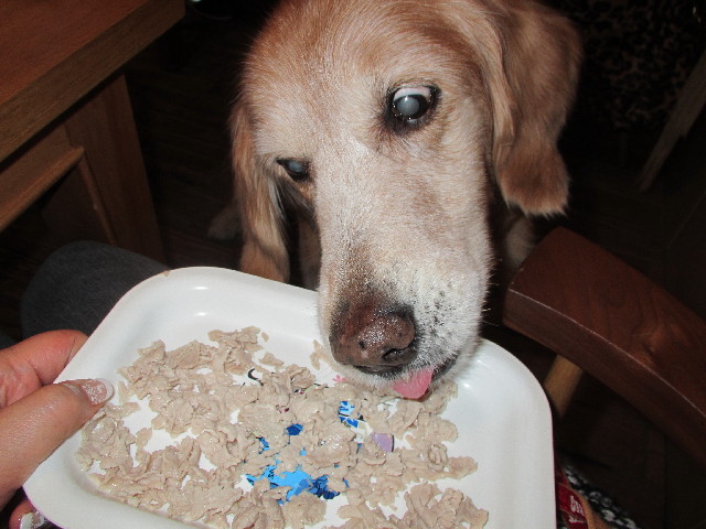 ファイル 2832-3.jpg