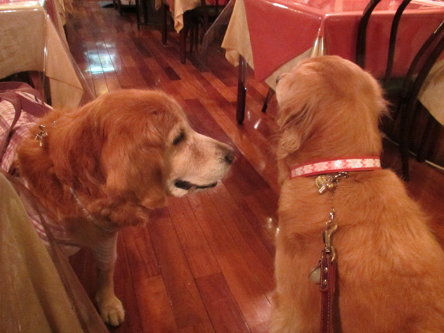 ファイル 2833-1.jpg