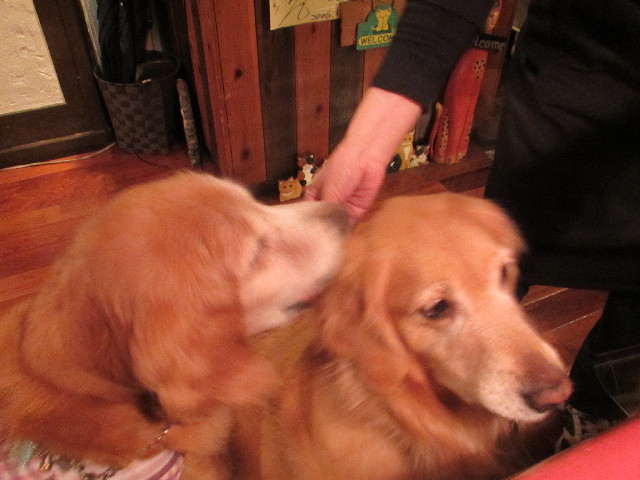 ファイル 2833-3.jpg