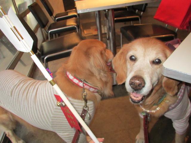 ファイル 2834-3.jpg