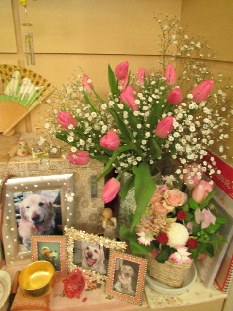 ファイル 2840-1.jpg