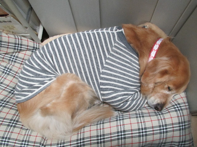 ファイル 2840-5.jpg