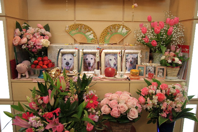 ファイル 2844-2.jpg