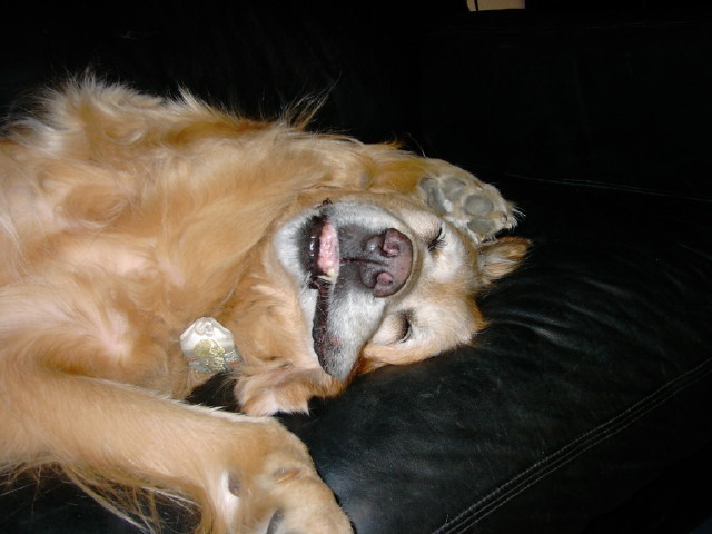 ファイル 285-2.jpg