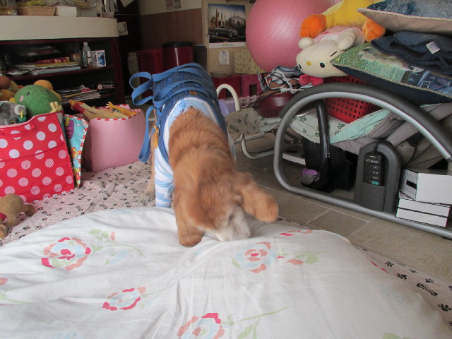 ファイル 2850-3.jpg