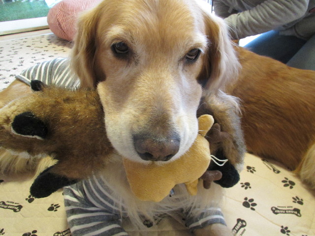 ファイル 2851-2.jpg