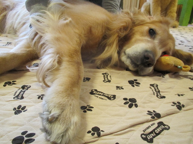 ファイル 2851-3.jpg