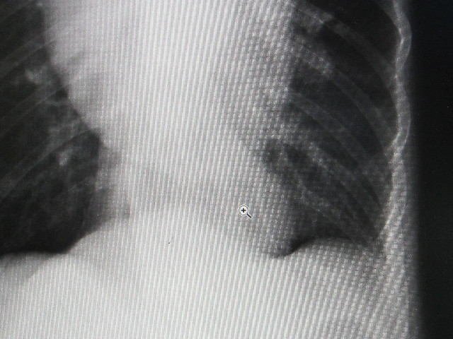 ファイル 2853-4.jpg