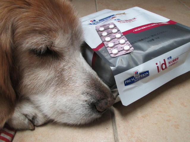 ファイル 2855-1.jpg