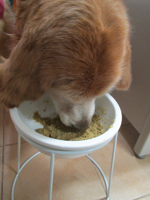 ファイル 2855-2.jpg