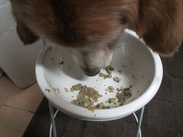 ファイル 2855-3.jpg