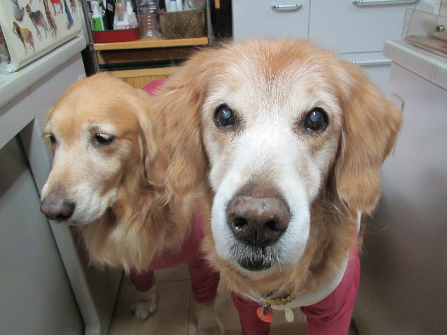 ファイル 2855-5.jpg