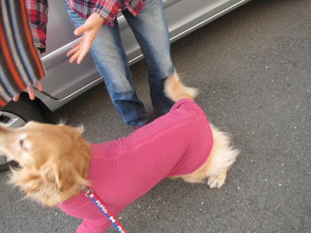 ファイル 2856-3.jpg