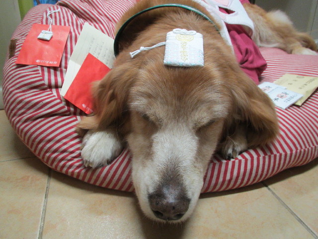 ファイル 2857-1.jpg