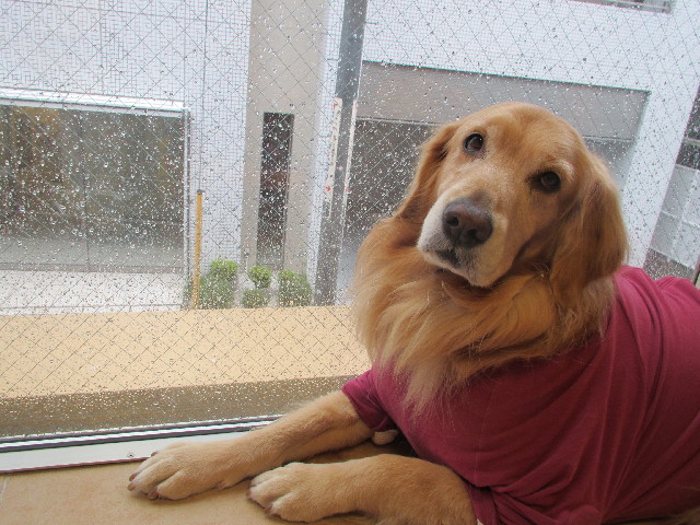 ファイル 2857-3.jpg