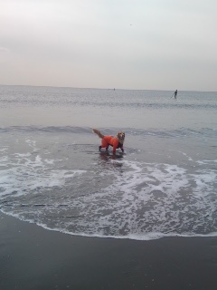 ファイル 2857-5.jpg