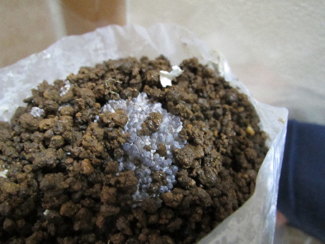 ファイル 2858-5.jpg