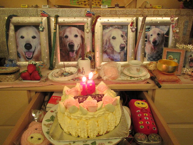 ファイル 2864-1.jpg