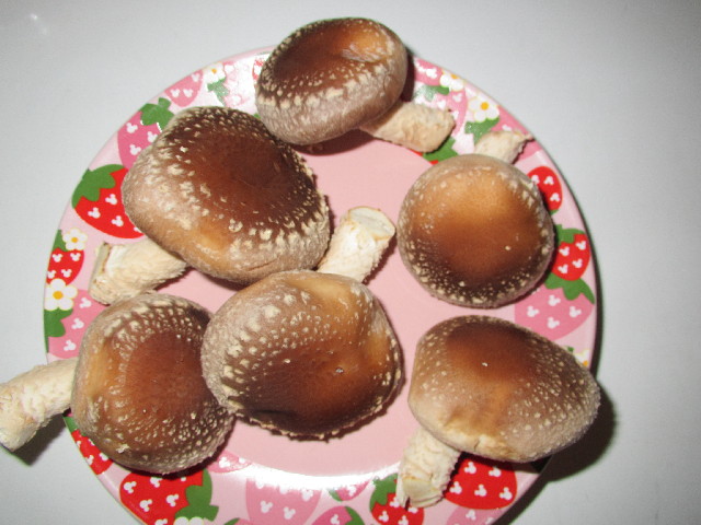 ファイル 2866-4.jpg