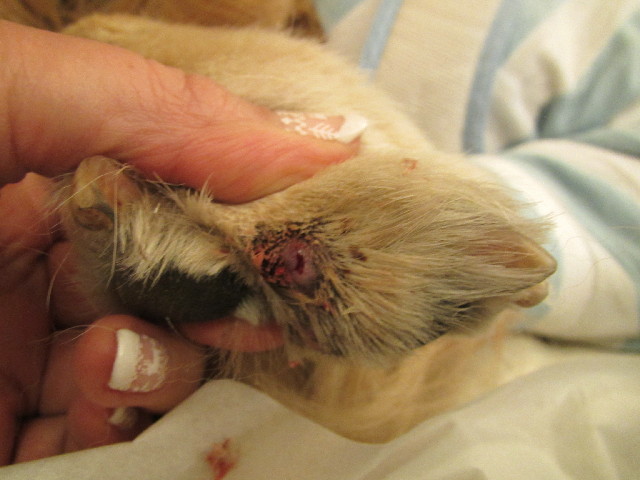 ファイル 2867-1.jpg