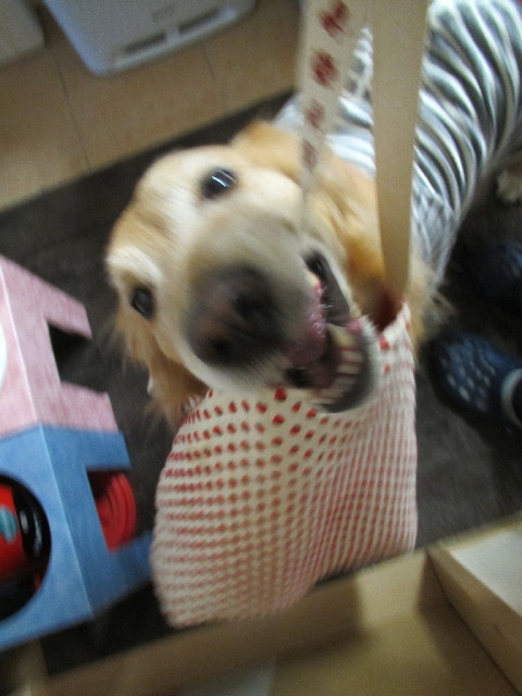 ファイル 2868-1.jpg