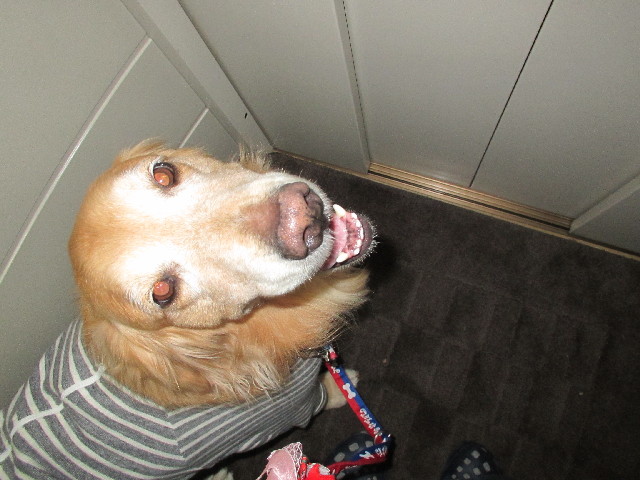 ファイル 2868-3.jpg