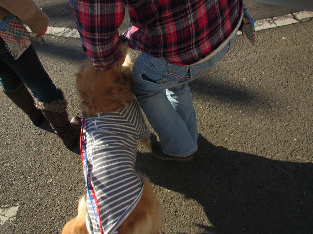 ファイル 2868-4.jpg