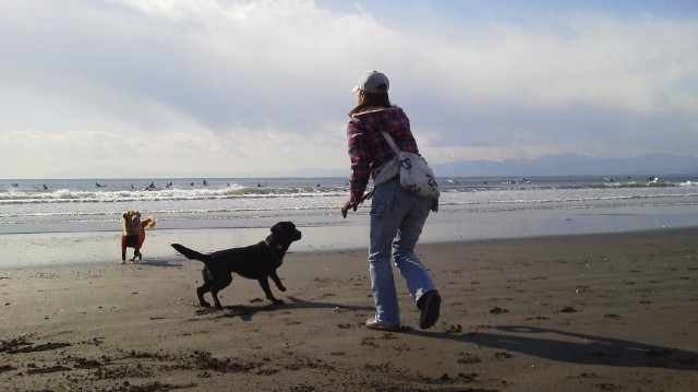 ファイル 2869-3.jpg