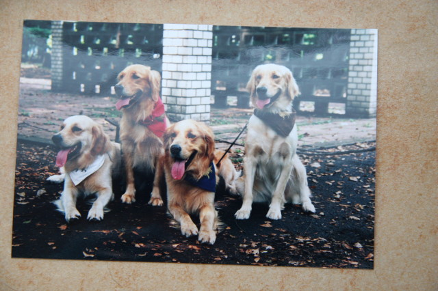 ファイル 287-5.jpg