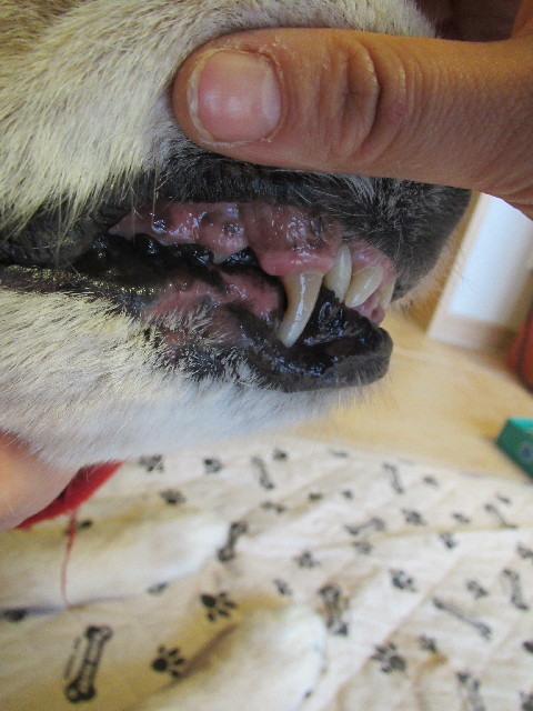 ファイル 2872-2.jpg