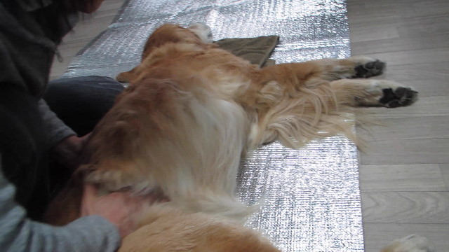 ファイル 2876-2.jpg