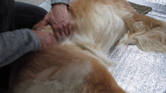 ファイル 2876-3.jpg