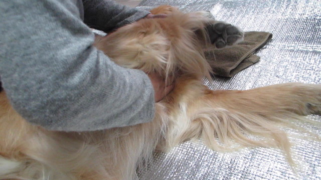 ファイル 2876-4.jpg