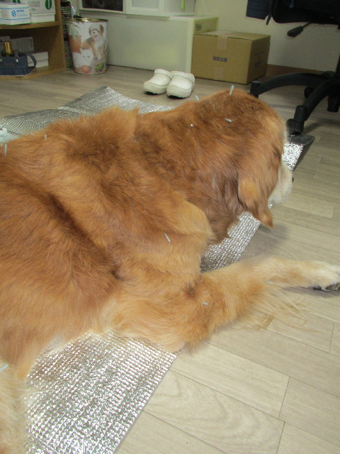 ファイル 2876-5.jpg