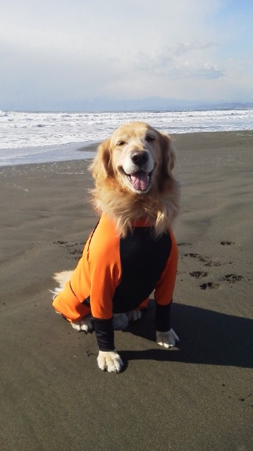 ファイル 2878-1.jpg