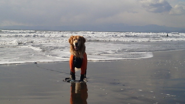 ファイル 2878-2.jpg