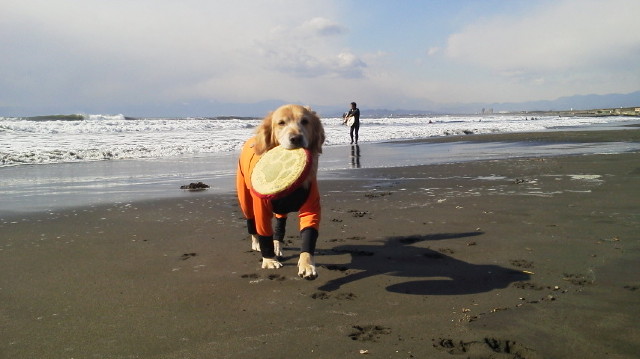 ファイル 2878-3.jpg