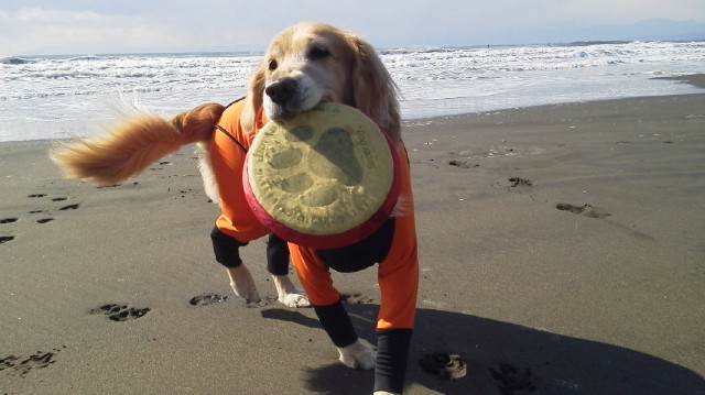 ファイル 2878-4.jpg