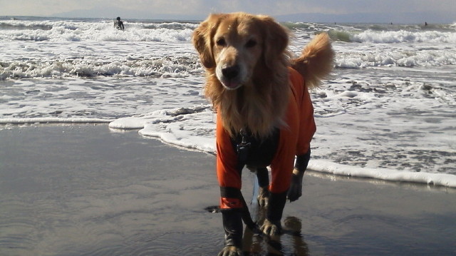 ファイル 2878-5.jpg