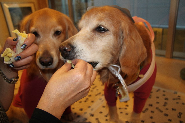 ファイル 2879-3.jpg