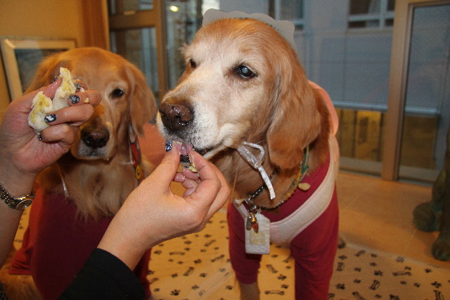 ファイル 2879-4.jpg