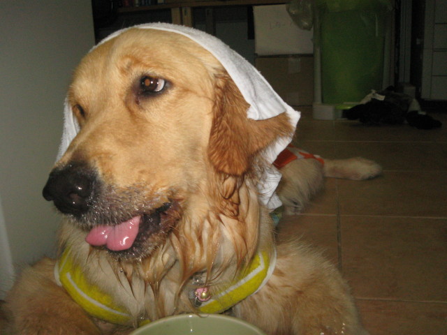 ファイル 288-3.jpg