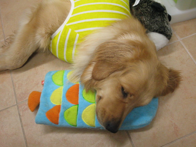 ファイル 288-5.jpg